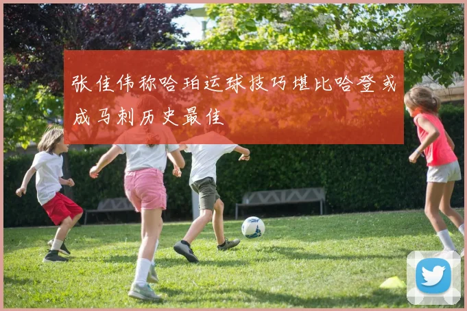 张佳伟称哈珀运球技巧堪比哈登或成马刺历史最佳