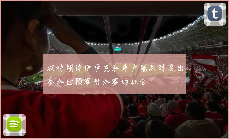 波特期待伊萨克和库卢能及时复出参加世预赛附加赛的机会