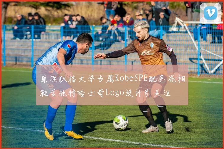 康涅狄格大学专属Kobe5PE配色亮相鞋舌独特哈士奇Logo设计引关注