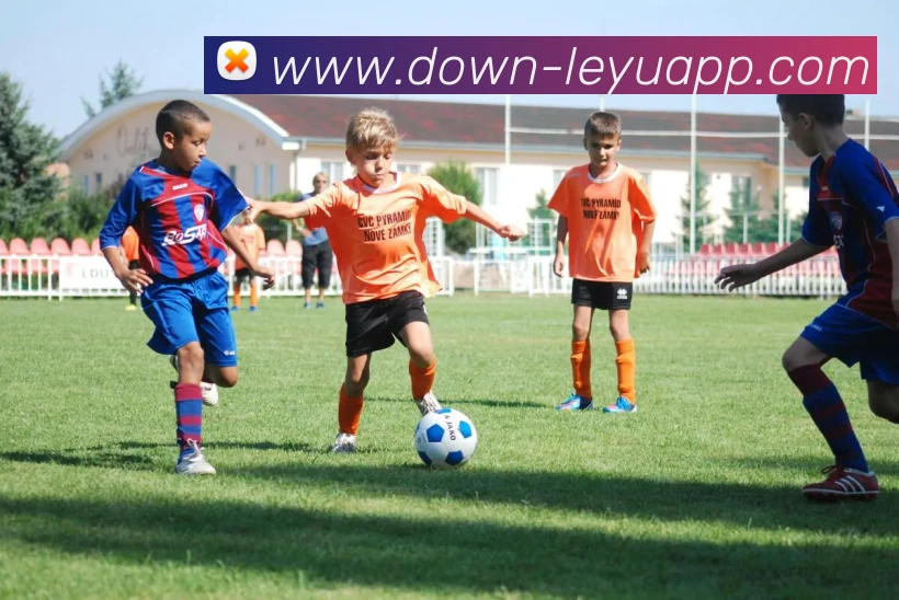 乐鱼体育平台生态图