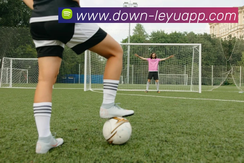 乐鱼体育APP 封面图